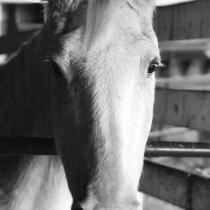 Meet your Posher, Monica